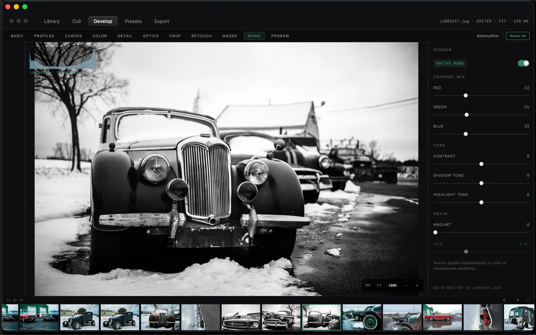 CaptureMood monochrome channel mixer with grain and tone controls